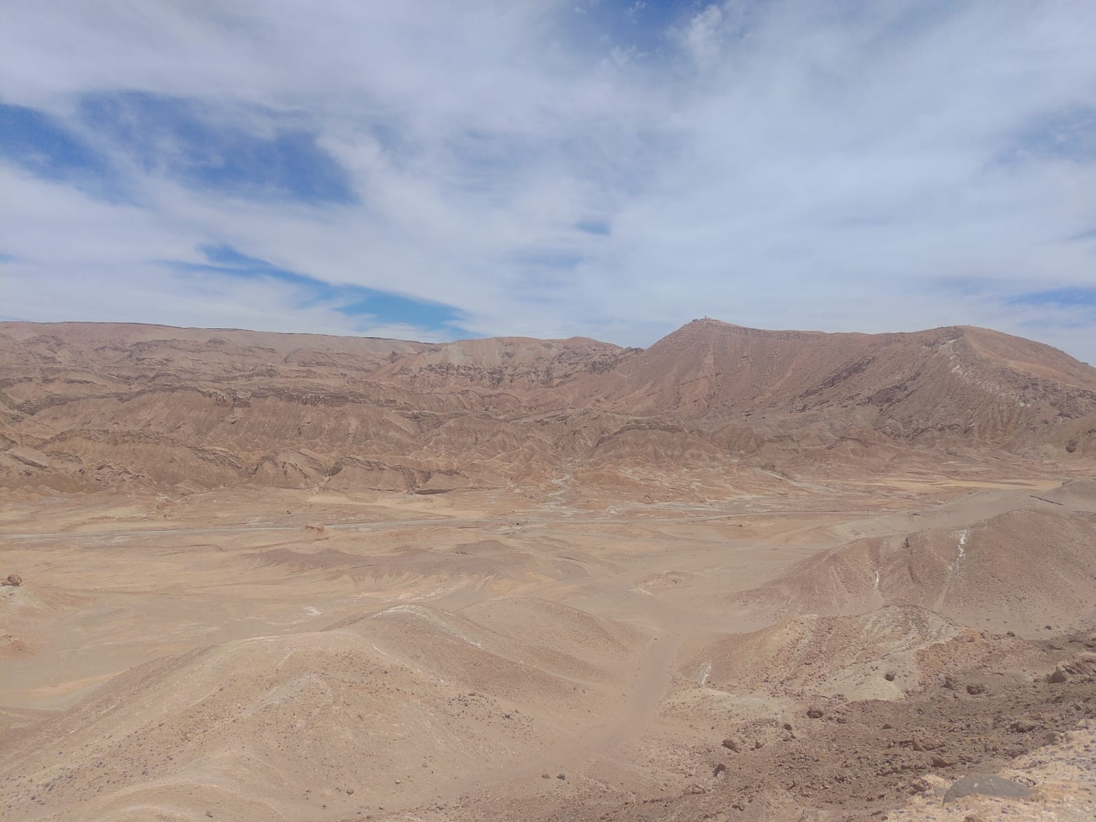 Invernadero SP 0 20251202_0009