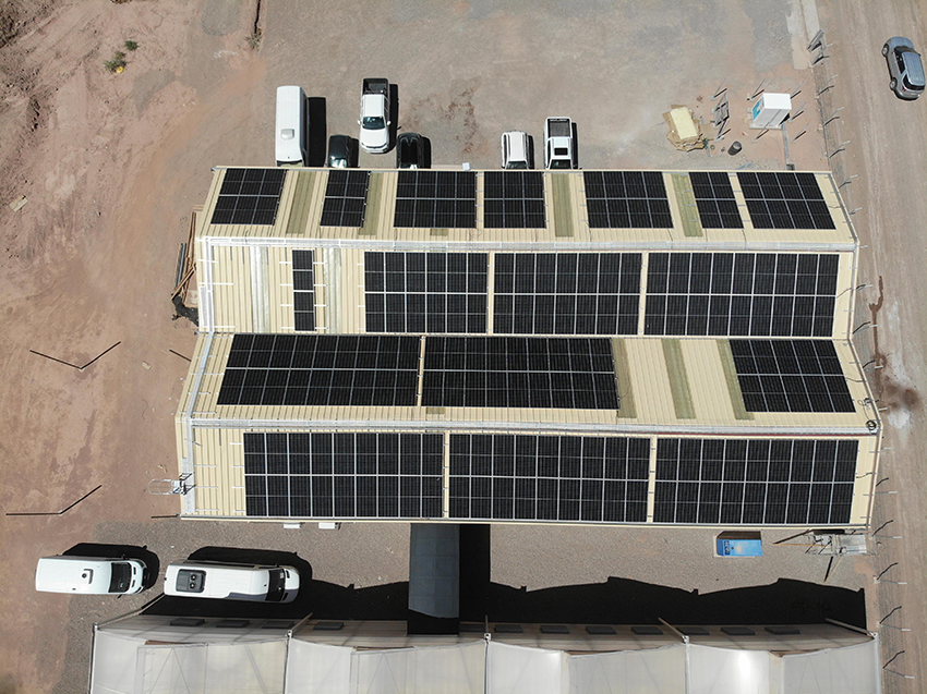 Invernadero SP 20251202_0006