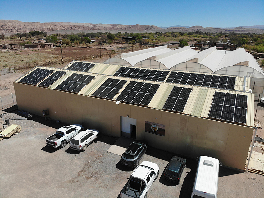 Invernadero SP 20251202_0008